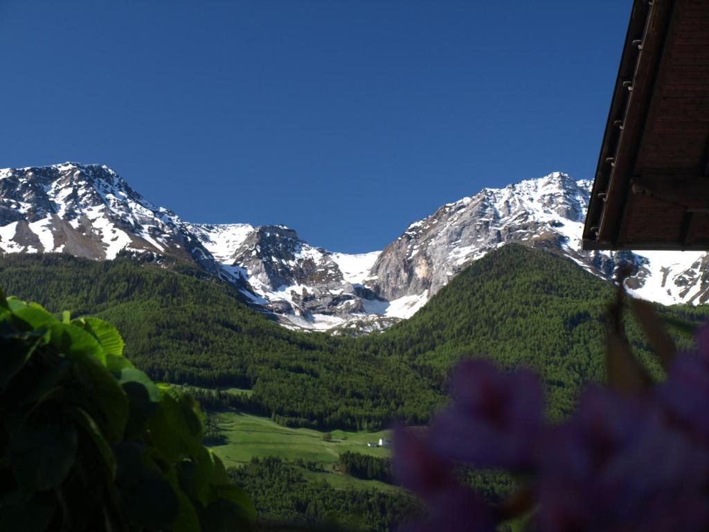 Feldgaertenhof Schlanders Buitenkant foto