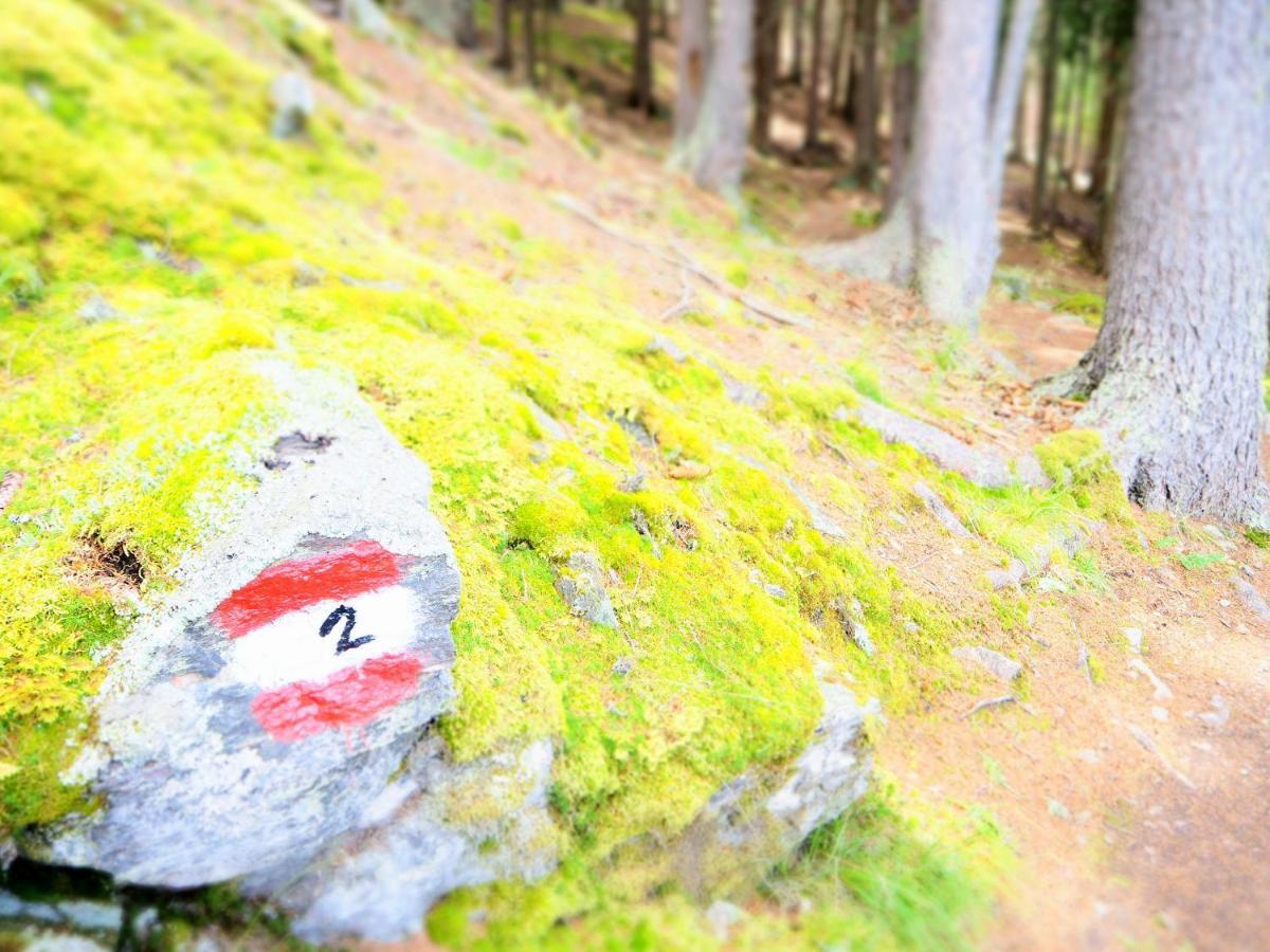 Feldgaertenhof Schlanders Buitenkant foto