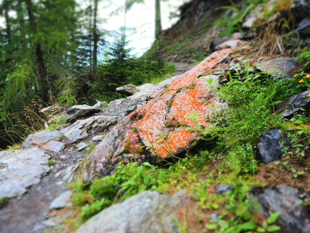 Feldgaertenhof Schlanders Buitenkant foto