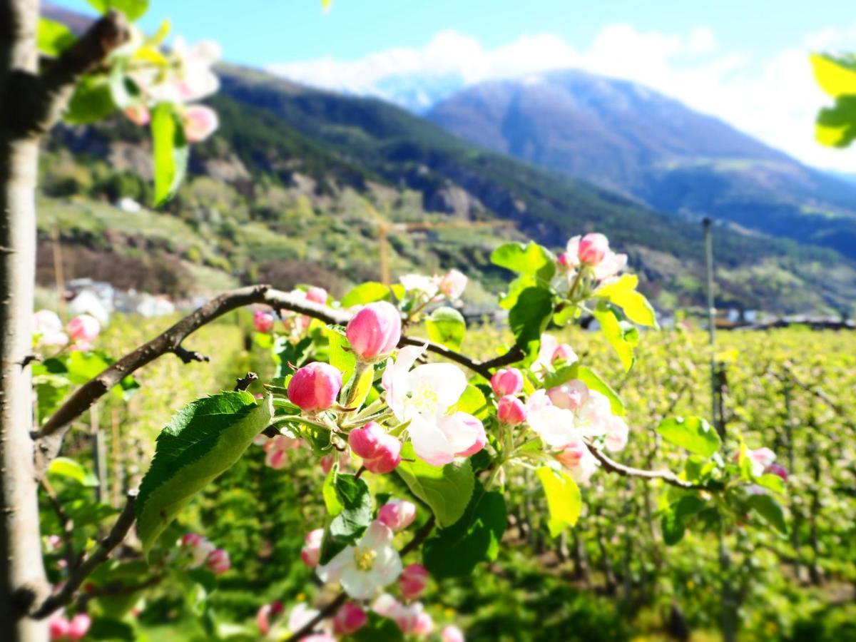 Feldgaertenhof Schlanders Buitenkant foto